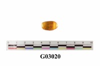 藏品(琥珀)的圖片